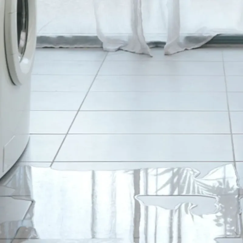 Appliance Leak Cleanup in Richland County, IL