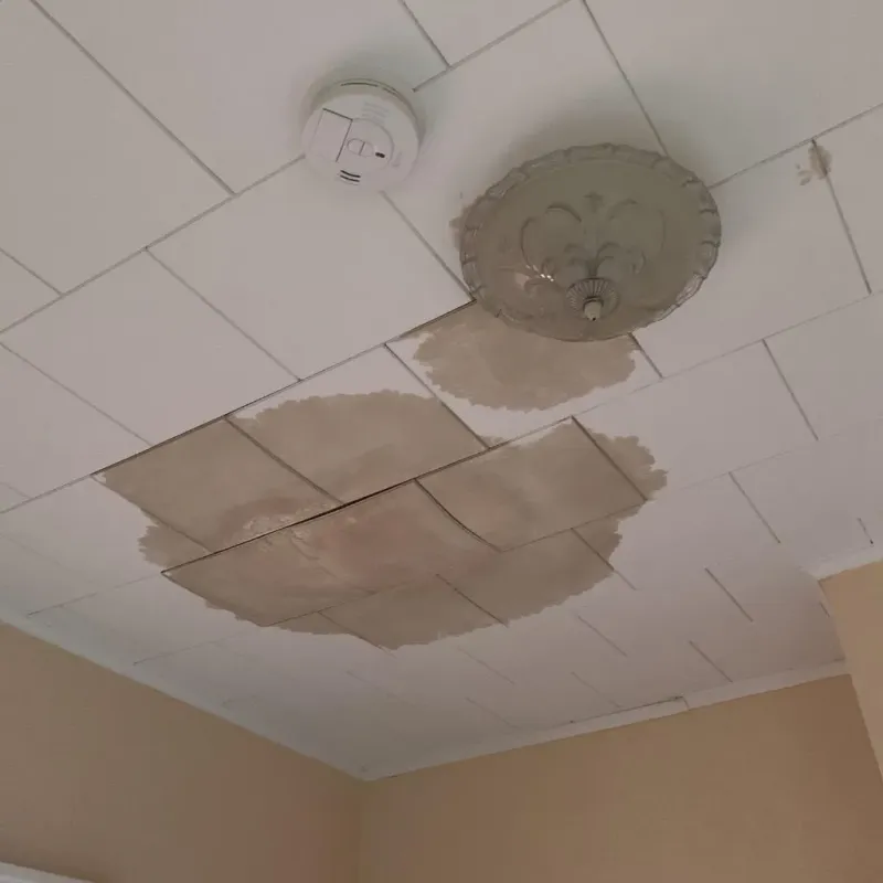 Ceiling Water Damage Repair in Richland County, IL