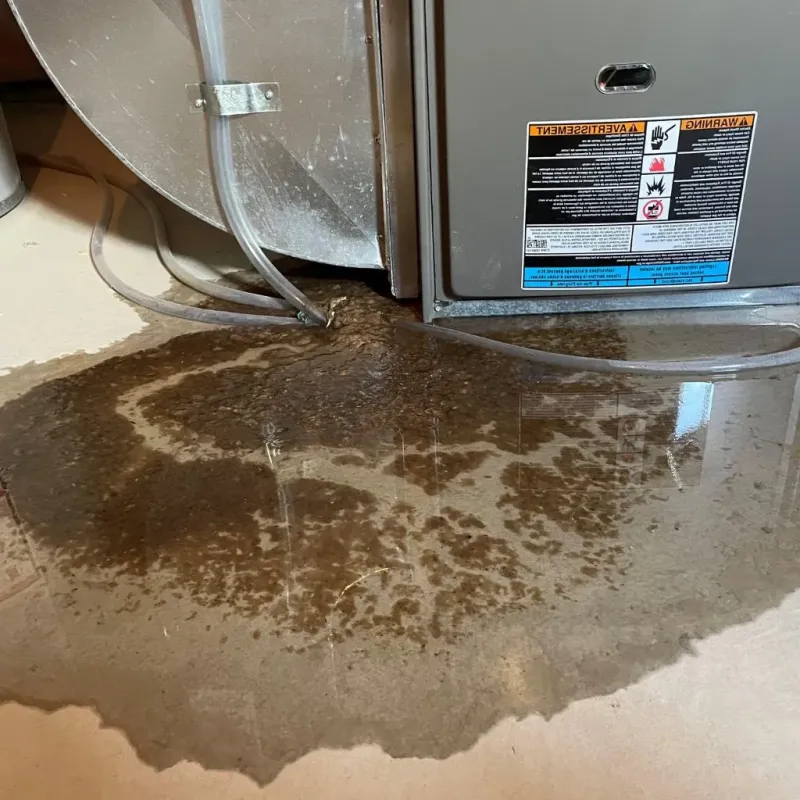 Pipe Burst and Leak Restoration in Richland County, IL