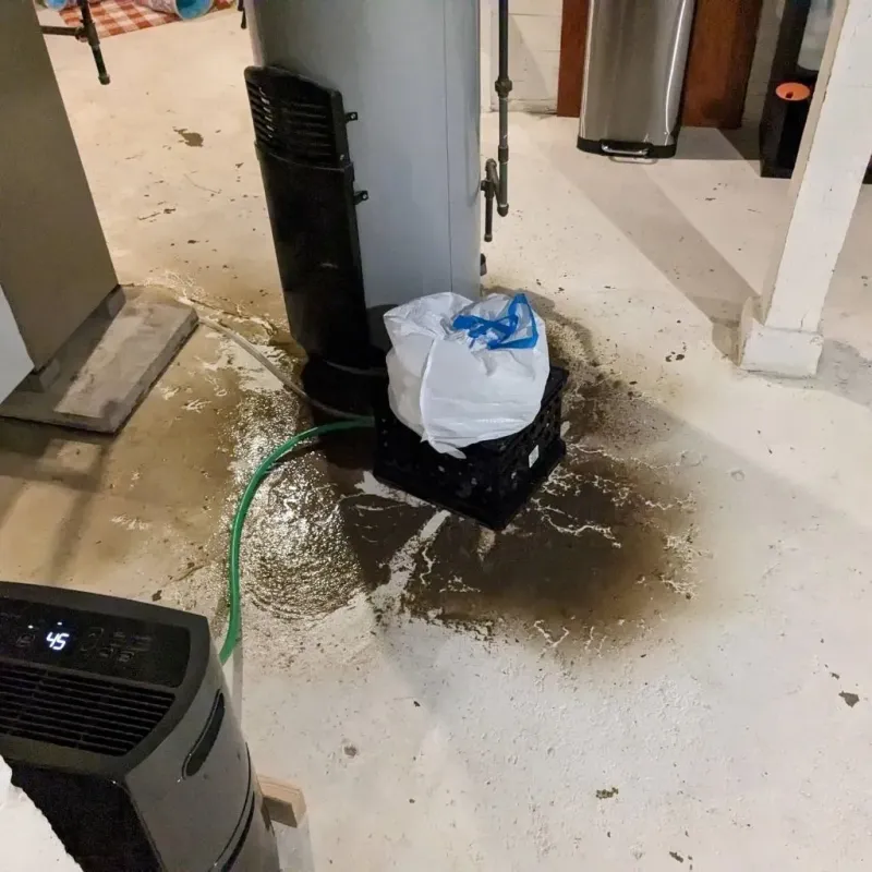 Sewage Backup Cleanup Service in Richland County, IL